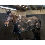 LeMieux Conductive Magno Therapy Rug